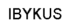 IBYKUS_ex IBYKUS